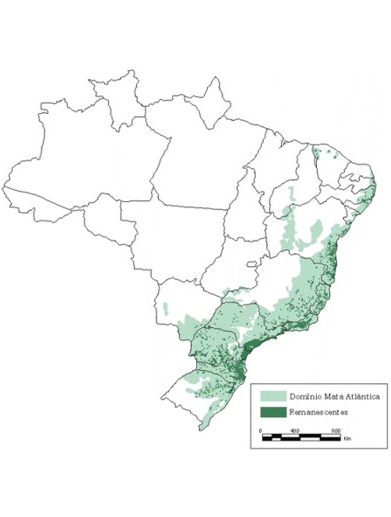 Captura de tela 2023-01-23 123009 copiar